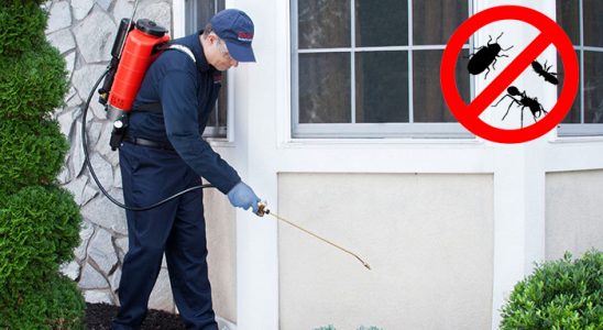 Boyabat Kene İlaçlama böcek ilaçlama ve haşere kontrolü — ilaclama-tr.com